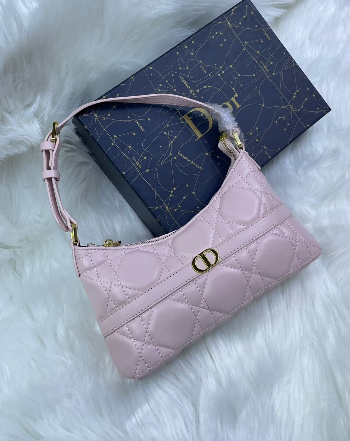 Dior ladies bag