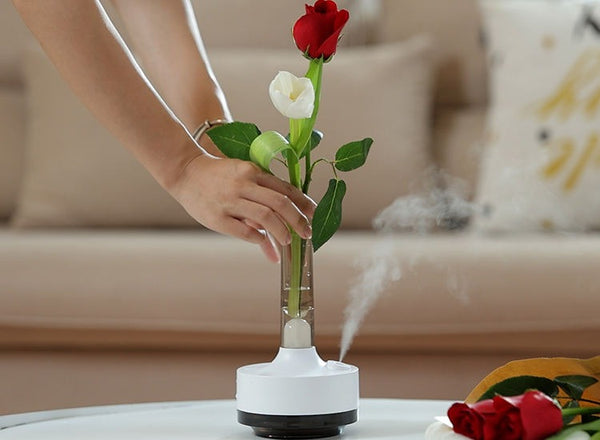 Time Vase Humidifier